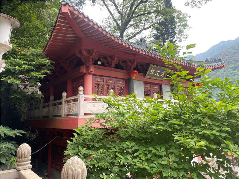 hong kong kung fu academy di Sifu Salvatore Mezzone, arti marziali wing chun, weng chun GM Michael Tang, tai chi quan, sanda e sport da combattimento, shaolin cina (2)